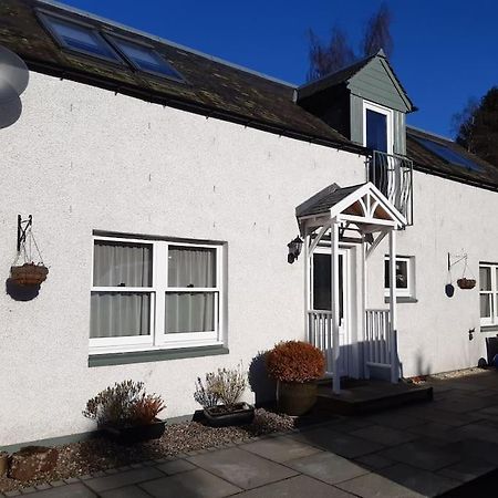 Pinewood Cotage - Country Walks And Relaxation Villa Blairgowrie and Rattray Exteriör bild