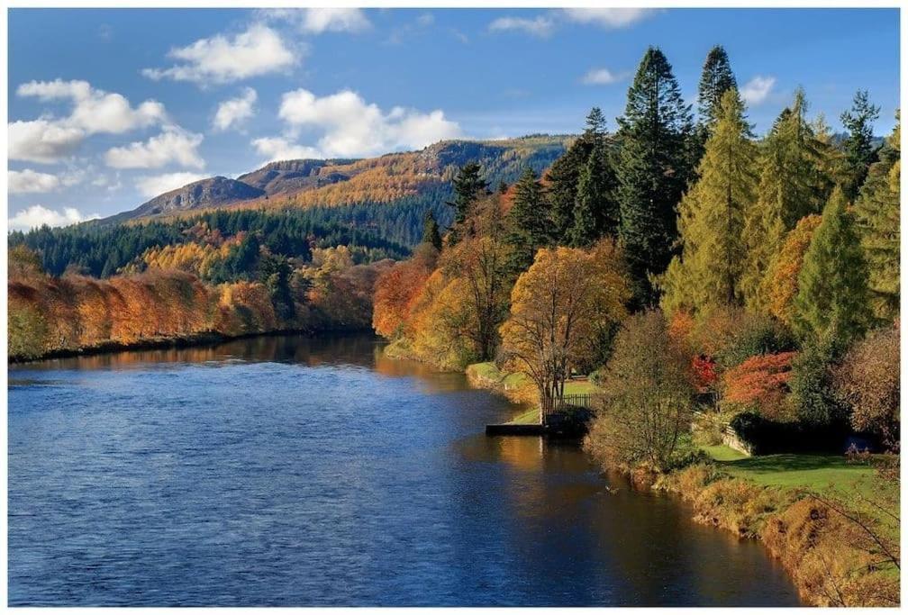Pinewood Cotage - Country Walks And Relaxation Villa Blairgowrie and Rattray Exteriör bild