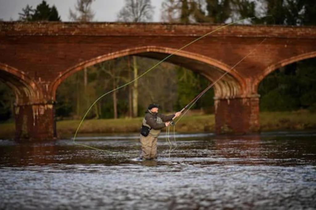 Pinewood Cotage - Country Walks And Relaxation Villa Blairgowrie and Rattray Exteriör bild